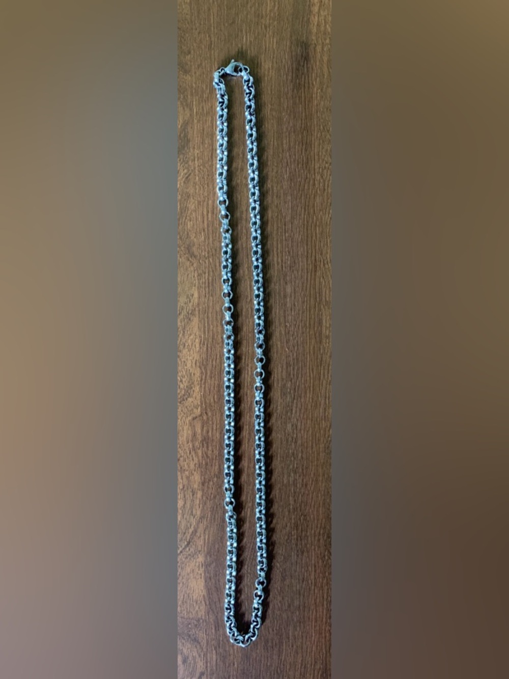 Stainless Steel Chain 22”